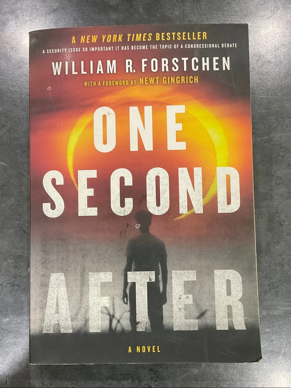 William R. Forstchen One Second After Book